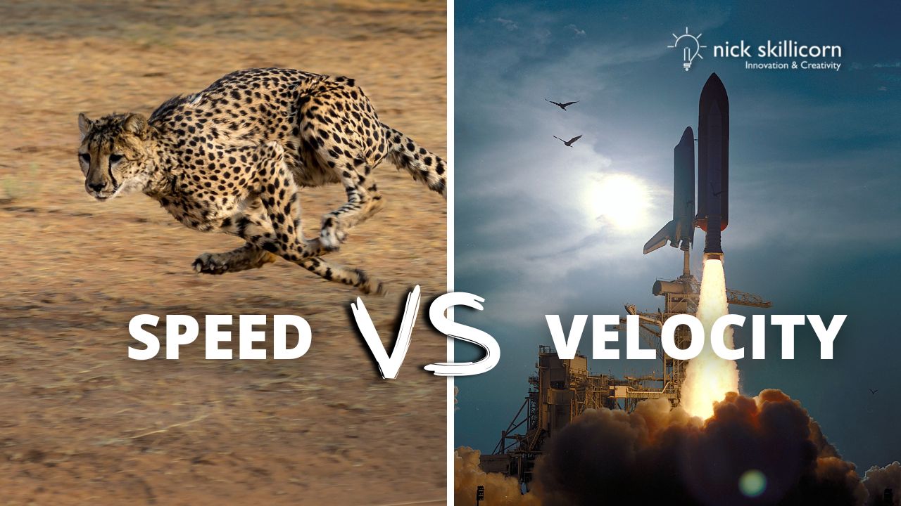 speed versus velocity