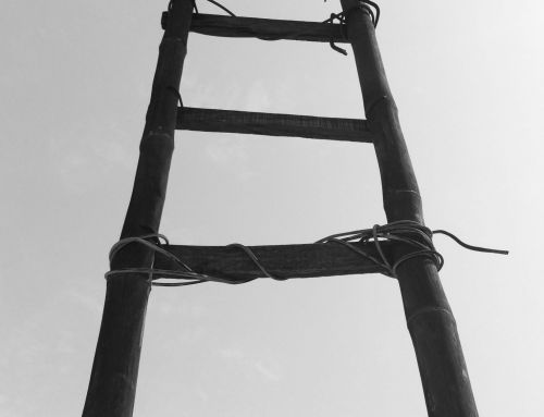 The ladder of “No”